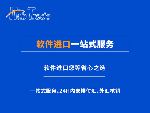 软件进口一站式服务